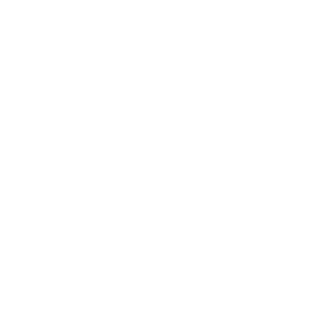 ER-LAC RUST CONVERSION Substrate For Metallic Surface 1Lt